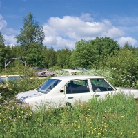 4031