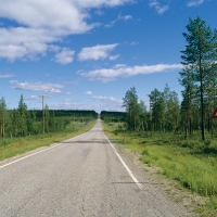2007