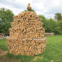 6005