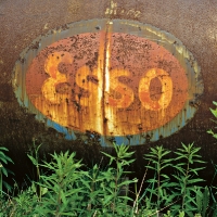 6025