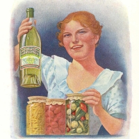 6029